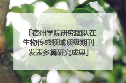 宿州学院研究团队在生物传感领域顶级期刊发表多篇研究成果