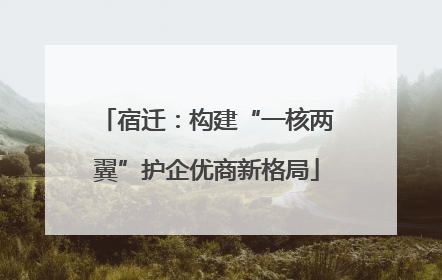 宿迁：构建“一核两翼”护企优商新格局