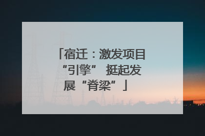宿迁：激发项目“引擎” 挺起发展“脊梁”