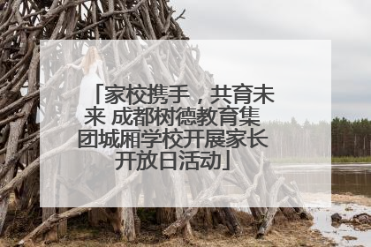 家校携手，共育未来 成都树德教育集团城厢学校开展家长开放日活动