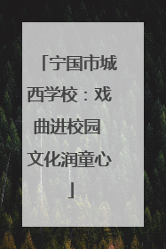 宁国市城西学校：戏曲进校园 文化润童心