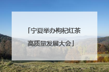 宁夏举办枸杞红茶高质量发展大会