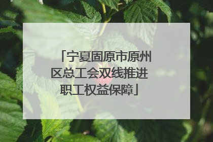 宁夏固原市原州区总工会双线推进职工权益保障
