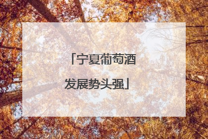 宁夏葡萄酒发展势头强