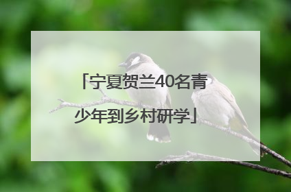 宁夏贺兰40名青少年到乡村研学