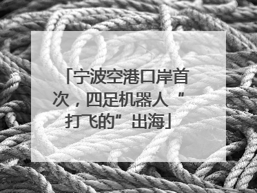 宁波空港口岸首次，四足机器人“打飞的”出海