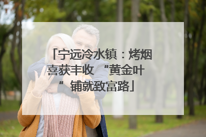 宁远冷水镇：烤烟喜获丰收 “黄金叶”铺就致富路