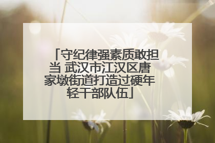 守纪律强素质敢担当 武汉市江汉区唐家墩街道打造过硬年轻干部队伍