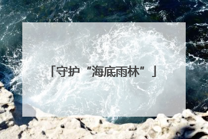 守护“海底雨林”