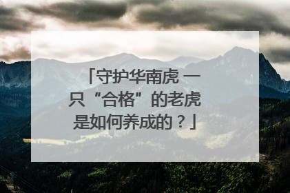 守护华南虎 一只“合格”的老虎是如何养成的？