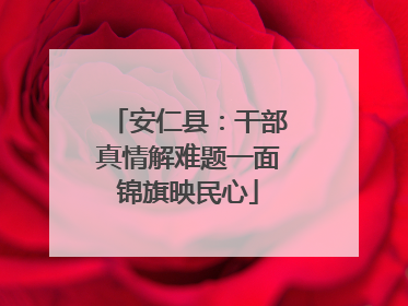 安仁县：干部真情解难题一面锦旗映民心
