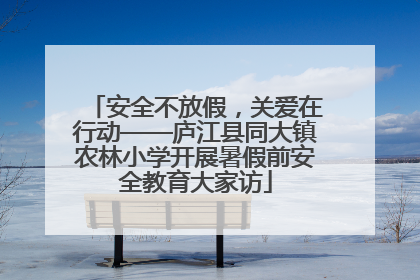 安全不放假，关爱在行动——庐江县同大镇农林小学开展暑假前安全教育大家访