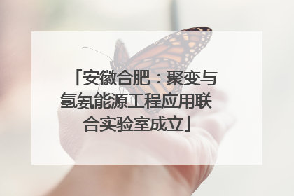 安徽合肥：聚变与氢氨能源工程应用联合实验室成立