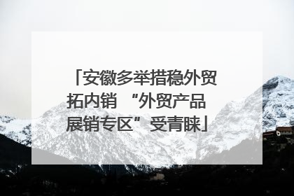 安徽多举措稳外贸拓内销 “外贸产品展销专区”受青睐