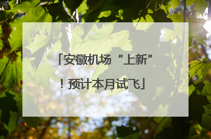 安徽机场“上新”！预计本月试飞