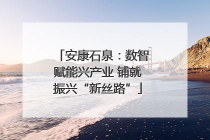 安康石泉：数智赋能兴产业 铺就振兴“新丝路”