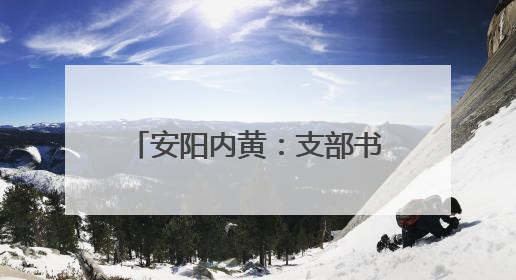 安阳内黄：支部书记外出“取经”探寻乡村振兴新路径