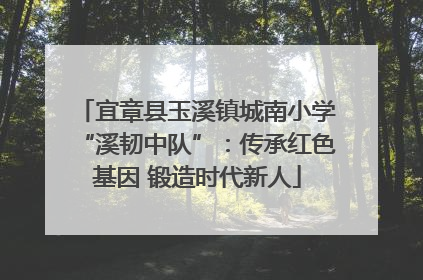 宜章县玉溪镇城南小学“溪韧中队”：传承红色基因 锻造时代新人