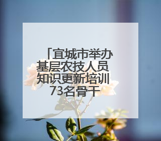 宜城市举办基层农技人员知识更新培训 73名骨干参加