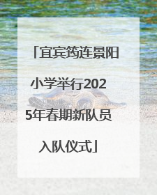 宜宾筠连景阳小学举行2025年春期新队员入队仪式