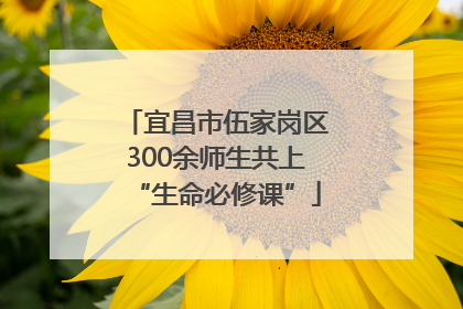 宜昌市伍家岗区300余师生共上“生命必修课”