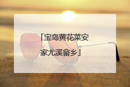 宝岛黄花菜安家尤溪畲乡