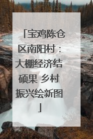 宝鸡陈仓区南阳村：大棚经济结硕果 乡村振兴绘新图