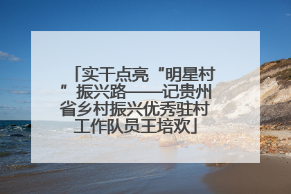 实干点亮“明星村”振兴路——记贵州省乡村振兴优秀驻村工作队员王培欢