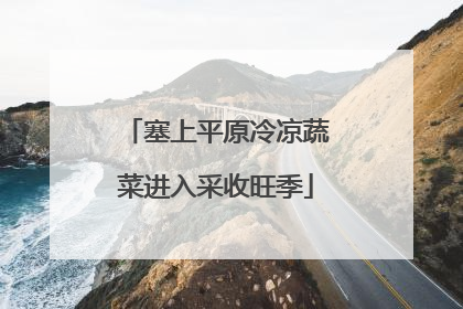 塞上平原冷凉蔬菜进入采收旺季