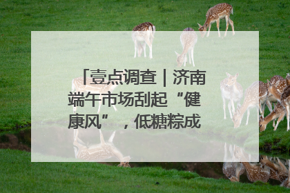 壹点调查｜济南端午市场刮起“健康风”，低糖粽成消费者“新宠”