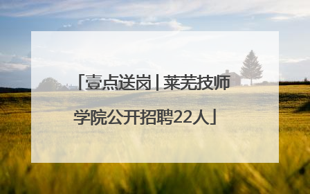 壹点送岗│莱芜技师学院公开招聘22人