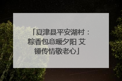 夏津县平安湖村：粽香包意暖夕阳 艾锤传情敬老心