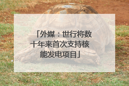 外媒：世行将数十年来首次支持核能发电项目