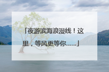 夜游滨海浪漫线！这里，等风更等你……