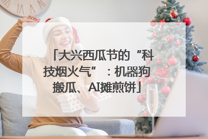 大兴西瓜节的“科技烟火气”：机器狗搬瓜、AI摊煎饼