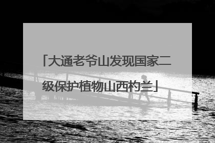 大通老爷山发现国家二级保护植物山西杓兰