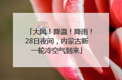 大风！降温！降雨！28日夜间，内蒙古新一轮冷空气到来