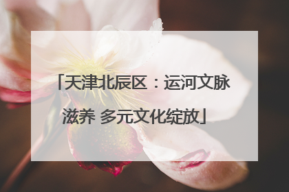 天津北辰区：运河文脉滋养 多元文化绽放