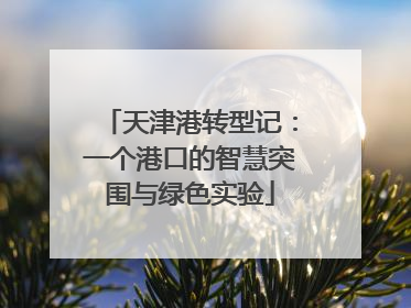 天津港转型记：一个港口的智慧突围与绿色实验