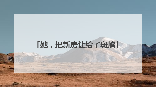 她，把新房让给了斑鸠