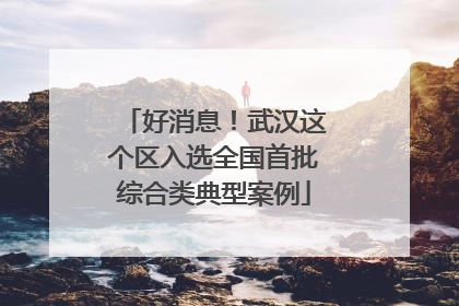 好消息！武汉这个区入选全国首批综合类典型案例