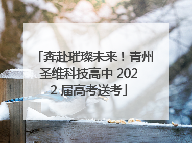 奔赴璀璨未来！青州圣维科技高中 2022 届高考送考
