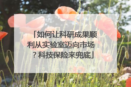 如何让科研成果顺利从实验室迈向市场？科技保险来兜底