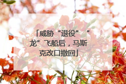 威胁“退役”“龙”飞船后，马斯克改口撤回