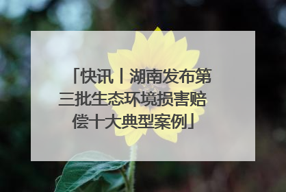 快讯丨湖南发布第三批生态环境损害赔偿十大典型案例