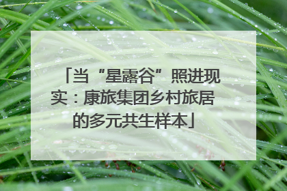 当“星露谷”照进现实：康旅集团乡村旅居的多元共生样本