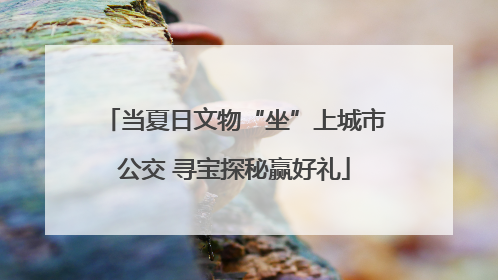 当夏日文物“坐”上城市公交 寻宝探秘赢好礼