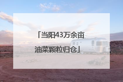 当阳43万余亩油菜颗粒归仓