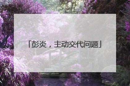 彭炎，主动交代问题