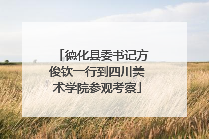 德化县委书记方俊钦一行到四川美术学院参观考察